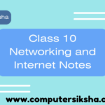 Class 10 Networking and Internet Notes