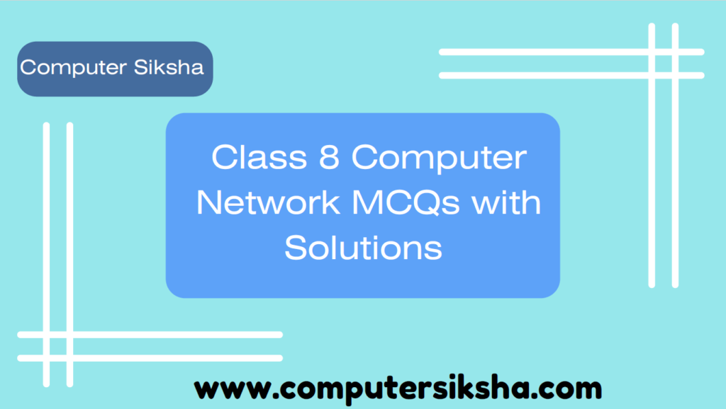 Class 8 Computer Network MCQ with Solutions